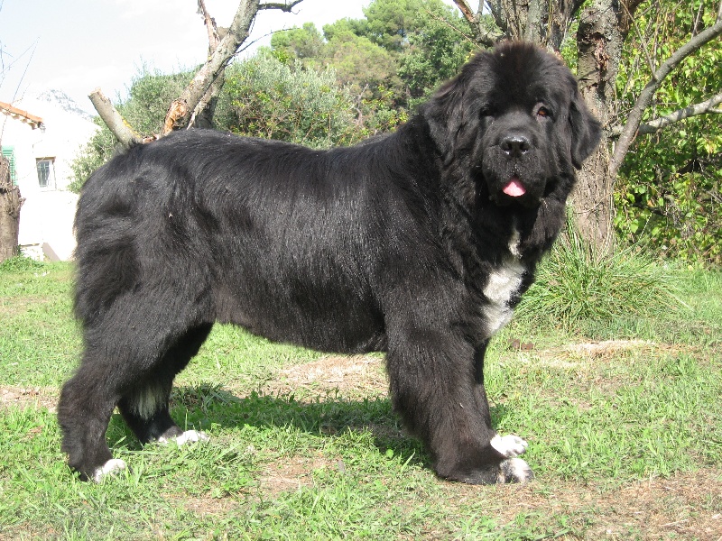 Oukaya forever Blowin in the wind