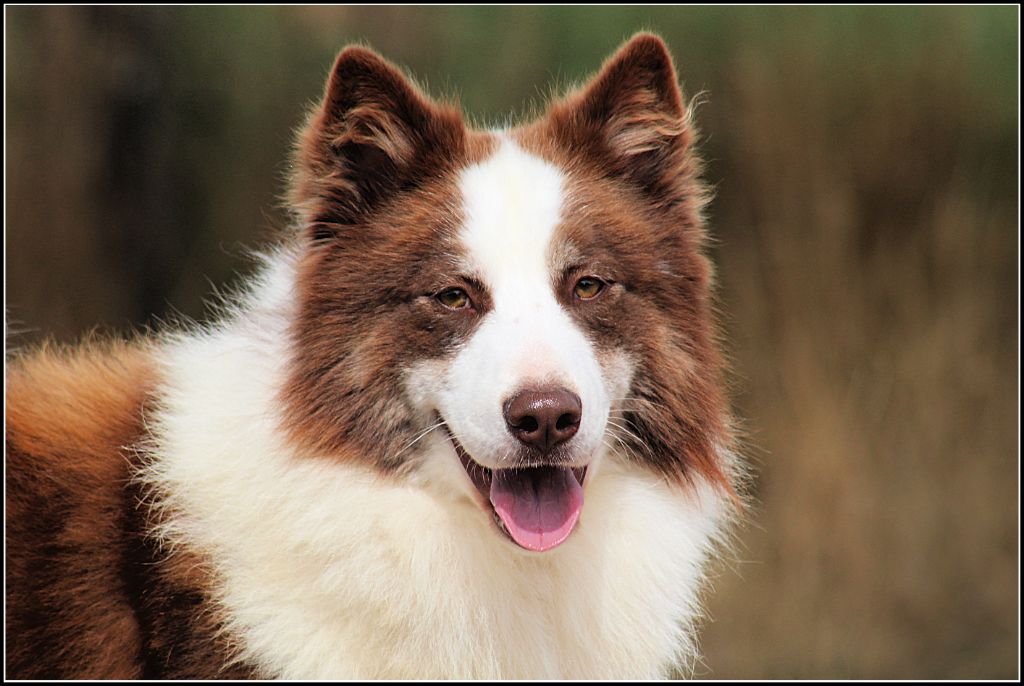 Oukaya forever Us vs the world