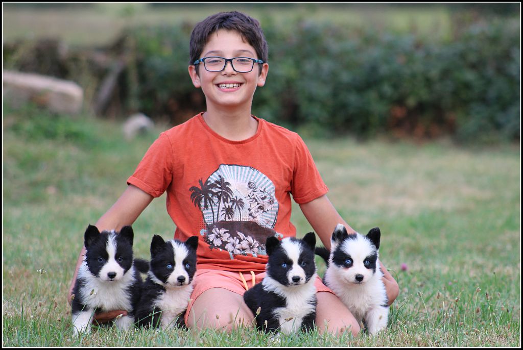 Oukaya forever - Chiots disponibles !