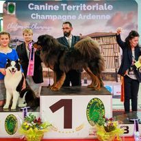 Best in show 
